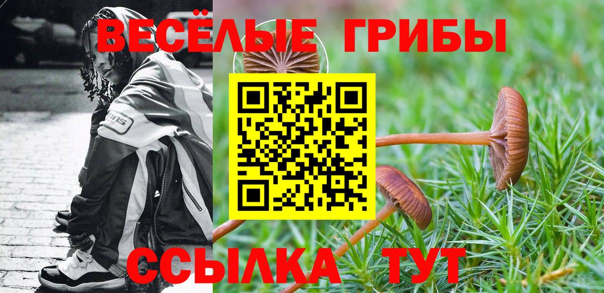 Галлюциногенные грибы Cubensis Усть-Джегута